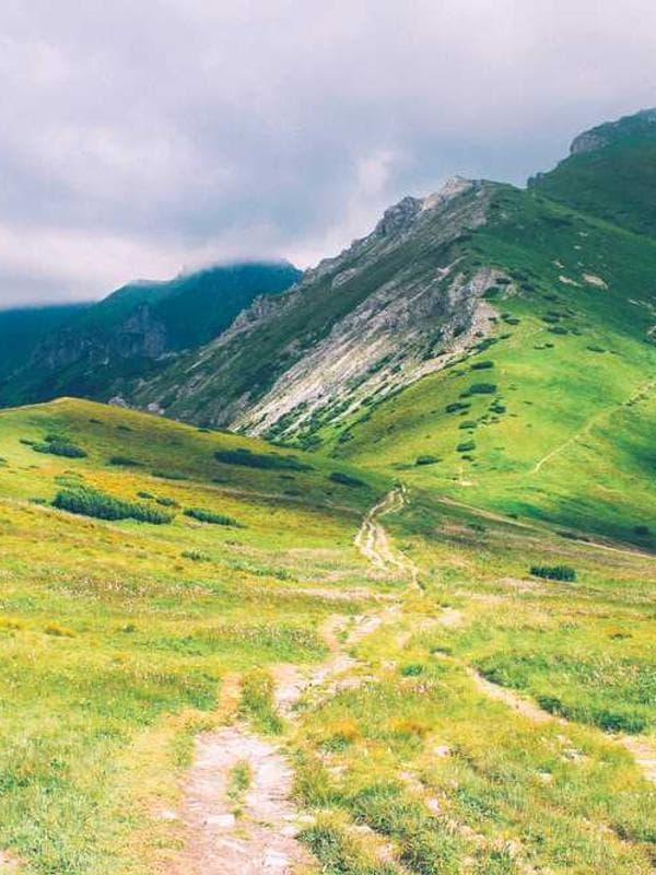 Fondateur de Rev'O Carrière